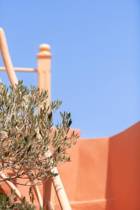 Riad Le Petit Bacha Marrakesh Exterior photo